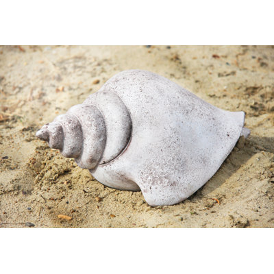 Teejay Beach Shell Statue