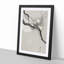 Plum Blossom & Full Moon by Ohara Koson - Picture Frame Painting Print-55601247-55601246