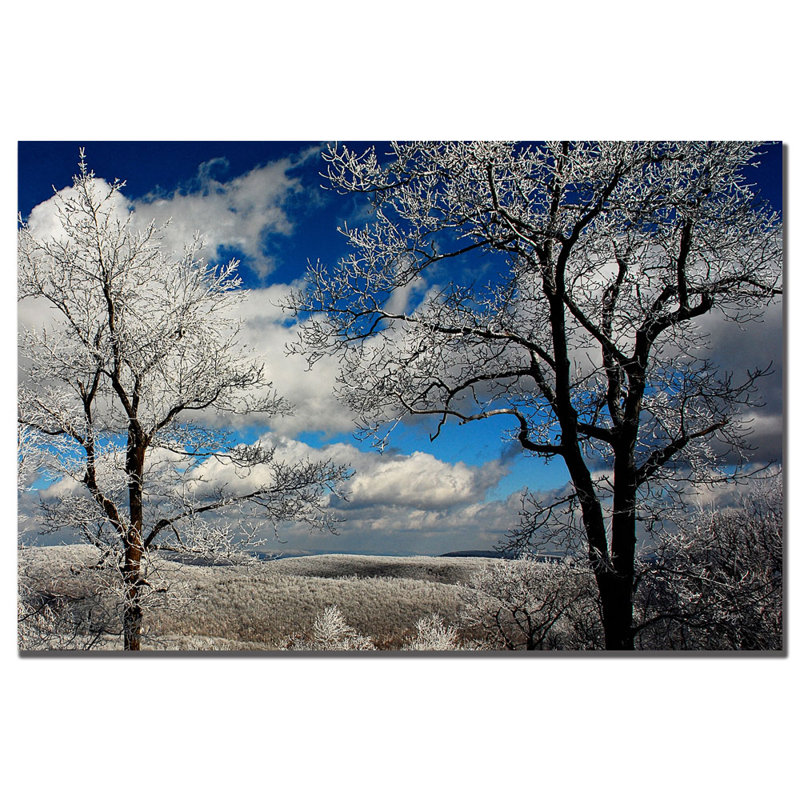 « mountain view » par lois bryan, reproduction de photo sur toile