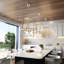 Zico 4-E26 Pendant Luminaire