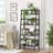 Veno Bookcase-1722658596