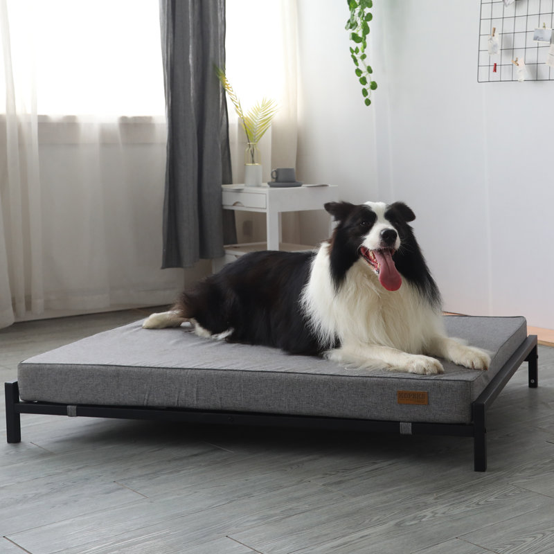 Dunlop Orthopedic Cotton Pet Bed