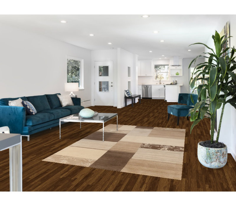 Tapis contemporain contemporain indien