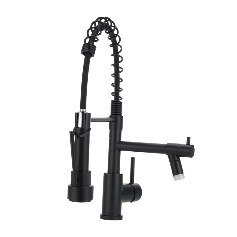 Belfry Kitchen Pull Out Kitchen Faucet, Black