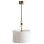 Russo 1 - Light Brass Novelty Pendant