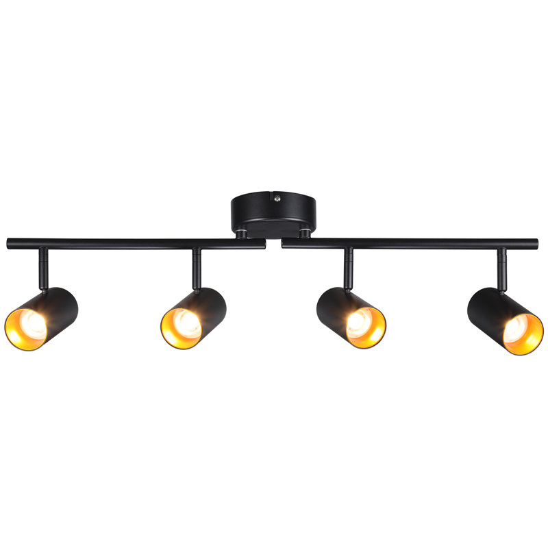 LED Adjustable 4-Head Ceiling Track Spotlight Dimmable, 5 Color Temperatures Selectable, Black
