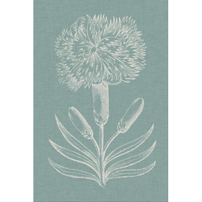 Graceful Floral II by Vision Studio - Wrapped Canvas Art Prints