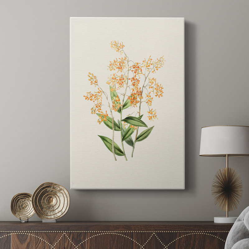 Impression florale rétro LXII - galerie Cavas sur mesure, H 36 po x l 24 po