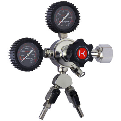 Kegco Elite Series Outdoor Dual Tap