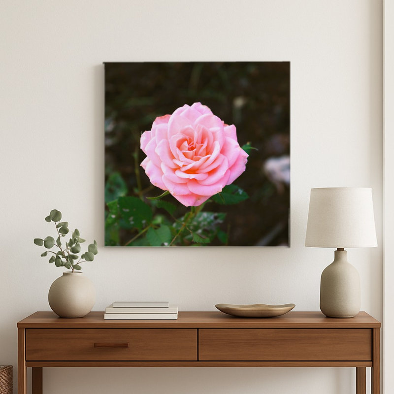 Rose rose en fleurs — Décoration murale carrée en métal, H 16 po x l 16 po