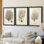 Esper Sea Fans I - reproduction sur mesure encadrée de qualité supérieure - 3 pièces-1607683334-1607683335