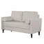 Contemporary Style 1Pc Loveseat With Pillows