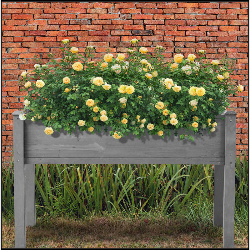 Lit de jardin surélevé avec pieds, H 30 po x l 48 po x P 48 po