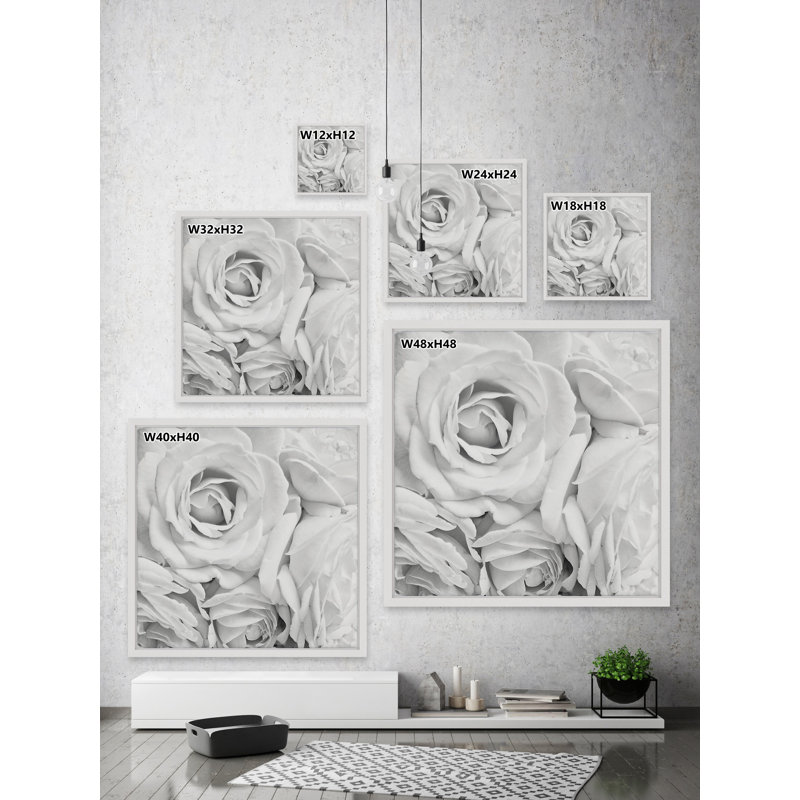 « mou white pétales », reproduction de photo, H 24 po x l 24 po