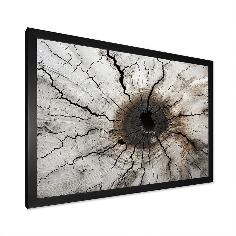 «Tree Cut Stump Beauty I», reproduction sur toile, H 24 po x l 32 po x P 1 po, Cadre simple noir