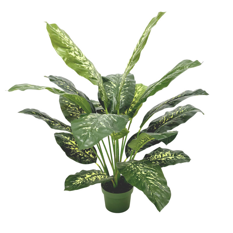 Faux plante de sol Dieffenbachia