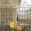 Ensemble de 2 treillis de jardin en métal 86,7 po antirouille pour plantes grimpantes-1458903338