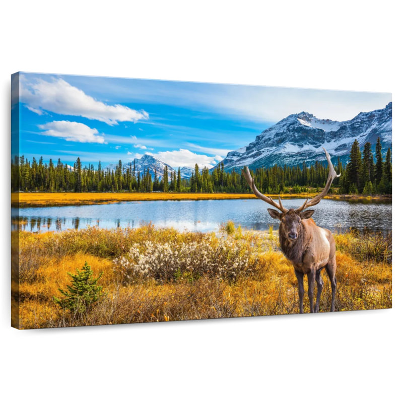 Brampt Magnificent Deer, 34" H x 51" W