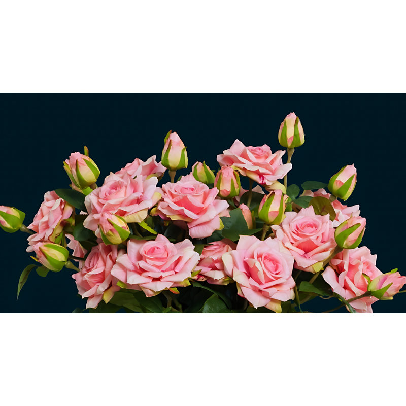 Rose Arrangement, Rose