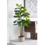 Arbre à figuier artificiel 59,1 "en pot