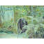 Deep Forest Greens Print by Other Artist-1523548284-1523548282-1523548274