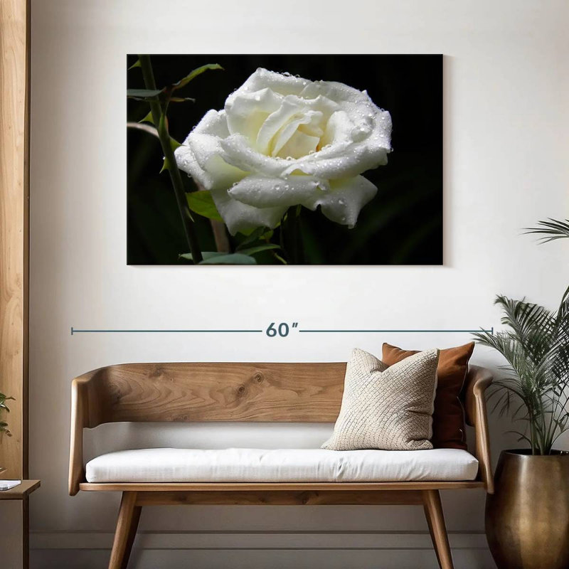 Harnek Dewdrops sur une rose blanche, H 30 po x l 45 po