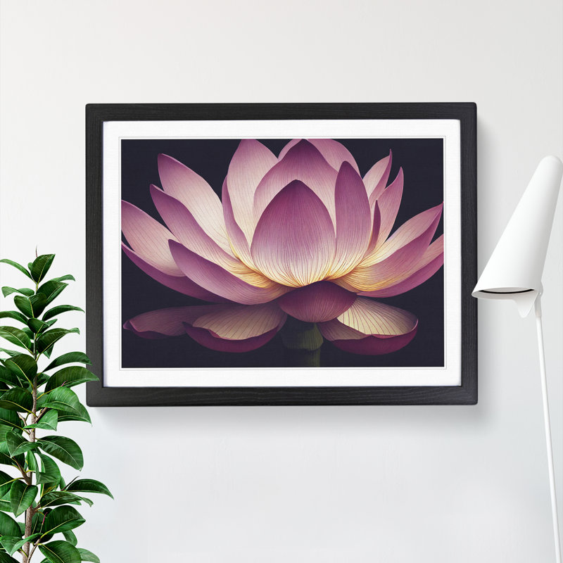 Intriguing Lotus Flower - Framed Print, Black, 34cm H x 46cm W x 2cm D