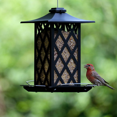 Mangeoire pour oiseaux en métal 1,56 pte Nature's Way