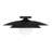 Sherrer 1-Light Ceiling Light in Matte Black-302410172