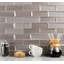 Wister 2" x 6" Glass Mosaic Wall Tile-40589048