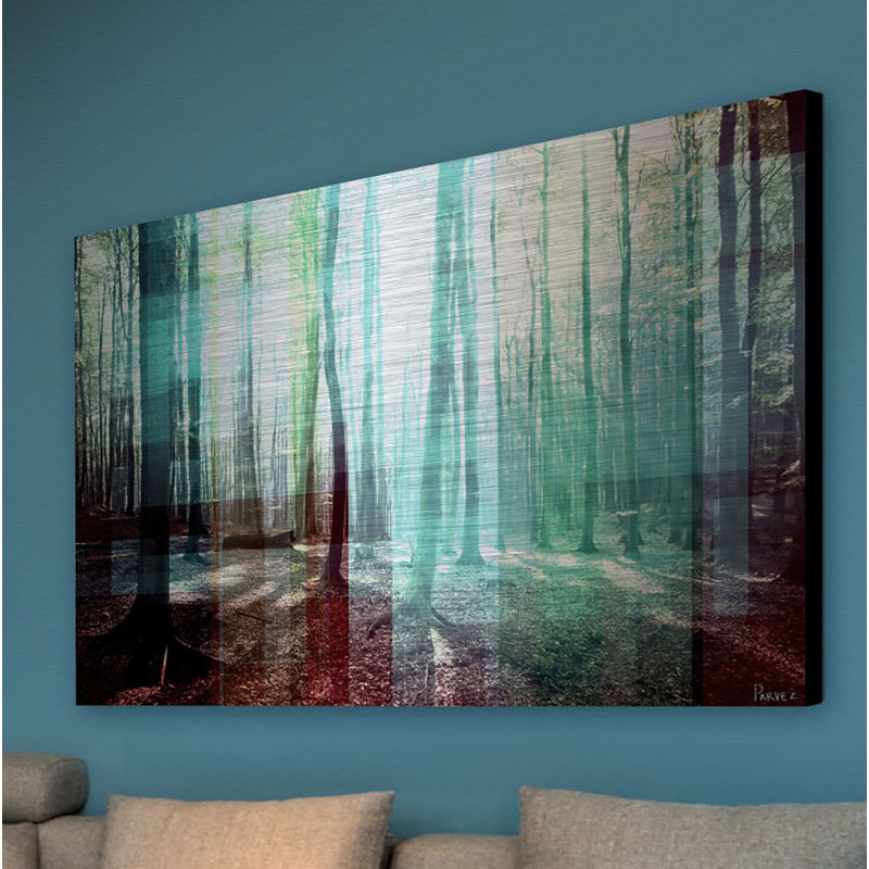 Reproduction de photo sur métal, "tree rays" par parvez taj, 24 po x 36 po