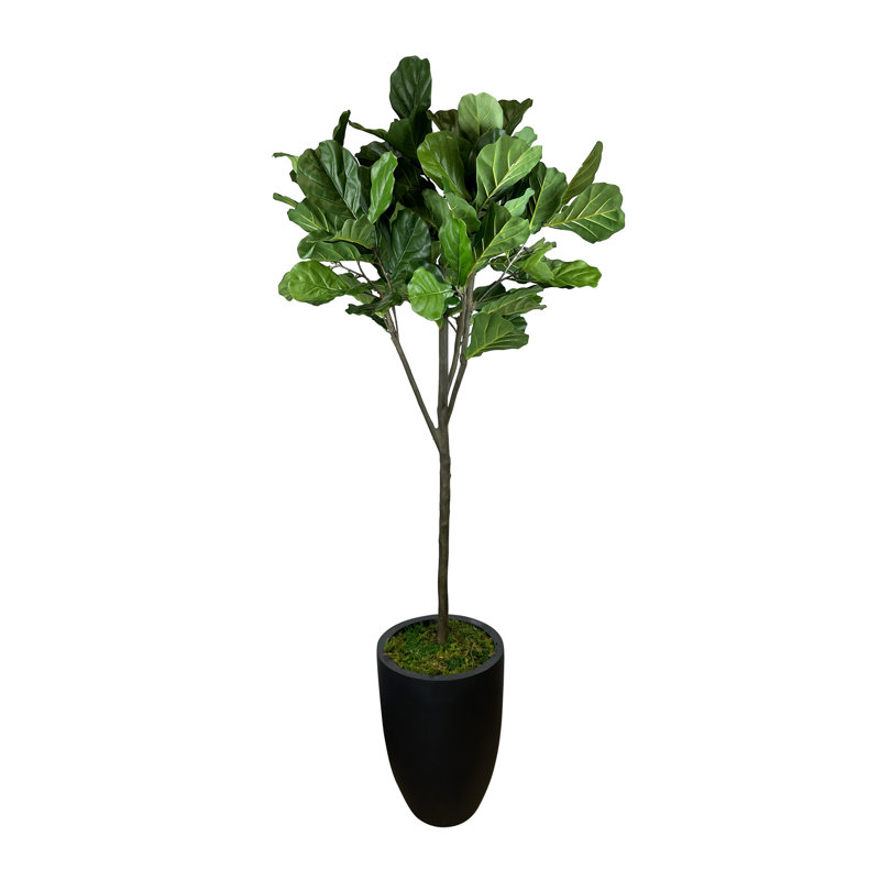 7 Faux Fiddle Leaf Fig Tree in Fiberstone Pot