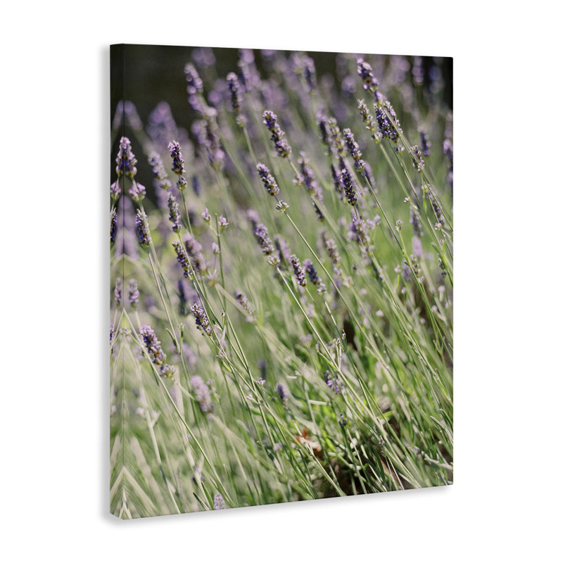 «Country Country Lilac Garden» par Justine Milton, H 30 po x l 24 po