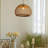 1-Light Pendant Lights Seagrass Dome