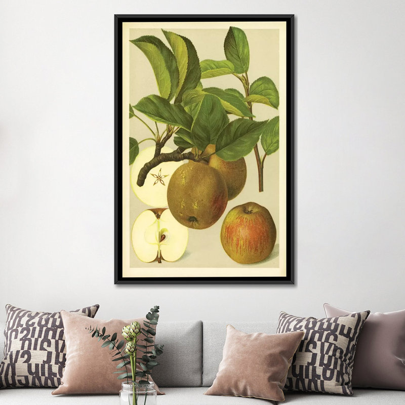 «Russet Apples», reproduction sur toile, H 26 po x l 18 po x P 1,5 po, Toile avec cadre noir, Pas de tapis