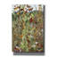 «Late Summer» par Maggie Vandewalle-316762561