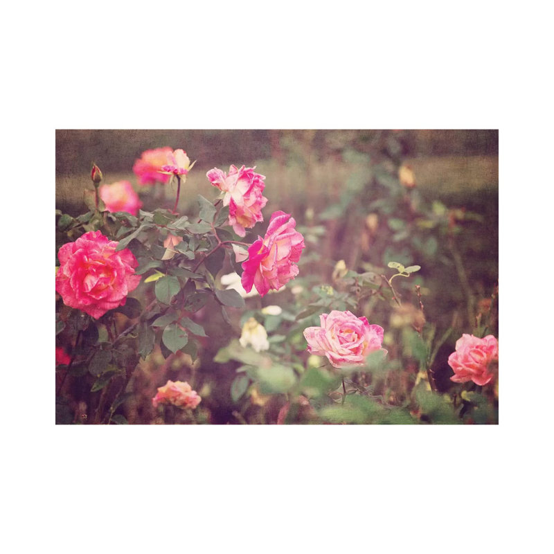 Vintage Roses by Ann Hudec - Wrapped Canvas Print, 101.6 cm H x 66.04 cm W x 3.175 cm D