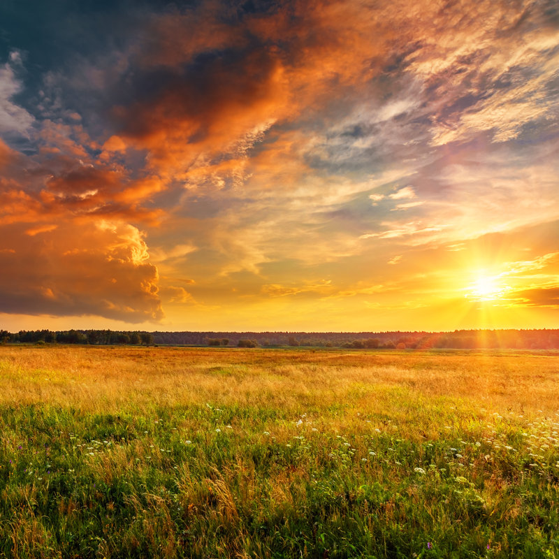 Mirrin Sunset Landscape with Plain and Forest - Photographie sur toile tendue, H 12 po x l 12 po x P 1,25 po