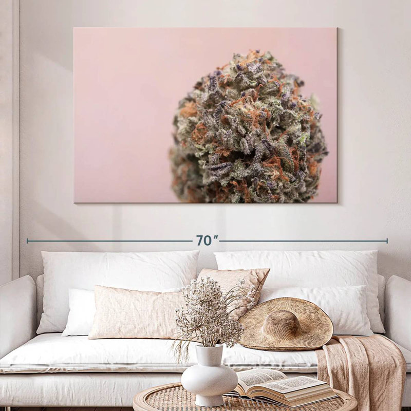 Bourgeon de marijuana, H 34 po x l 51 po