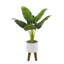 Palmier artificiel 18,75 "en pot