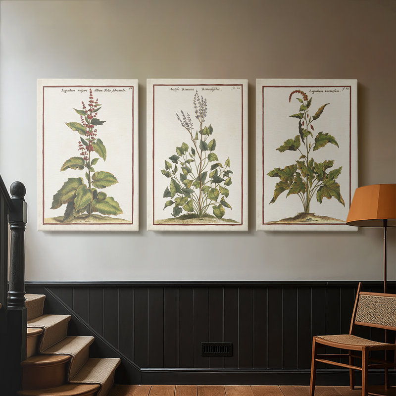 Munting Botanicals IV - Toile tendue avec châssis sur mesure - 3 pièces, H 27 po x l 54 po
