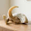 Pair of Polished African Merino Horn