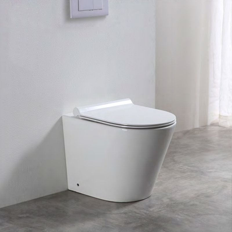 Baku Back-to-Wall Toilet