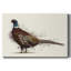 Pheasant Splash 1-Gallery Wrapped Canvas-43957672
