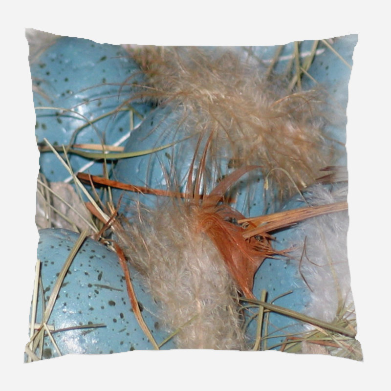 Katrina Easter Eggs Throw Pillow, Microsuede, Indoor