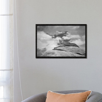 Leopard On A Kopje by Mario Moreno - Print on Canvas