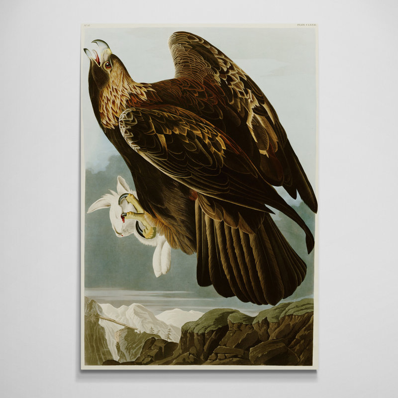 Golden Eagle by John James Audubon - Wrapped Canvas Art Prints, 41cm H x 31cm W