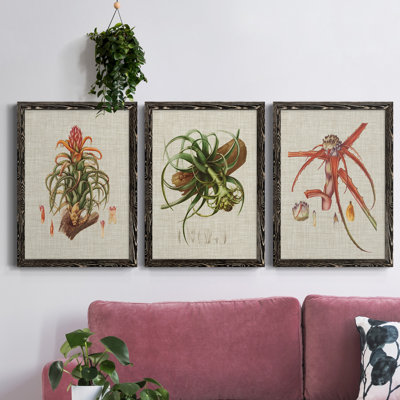 Elegant Tropicals IV - Ensemble de 3 peintures sur toile encadrées