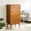 French Minimalist Style Accent Chest-1773944538