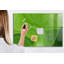 Magnetic Glass Dry Erase Board